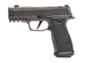 Sig Sauer P365 AXG Legion 9mm 3.1" barrel Legion Gray with G10 grips and three 17-round magazines