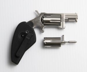 North American Arms Sidewinder 22M/22L stainless single-action revolver with holster/grip combo