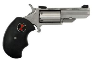 North American Arms Black Widow .22 LR 2-inch stainless mini-revolver with black rubber grip