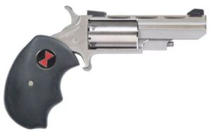 NAA Black Widow .22 Magnum 2in stainless single-action revolver with oversized black rubber grips