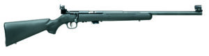 Savage Mark II FVT .22 LR bolt-action rifle with matte black synthetic stock