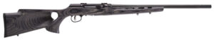 Savage A17 Target Thumbhole rifle .17 HMR 22 in grey laminate stock