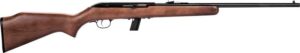 Savage 64G .22 LR semi-auto rifle with hardwood stock and blued barrel