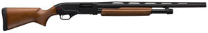 Winchester SXP Field Youth 12 Gauge pump shotgun with 22-inch vent rib barrel and satin walnut stock