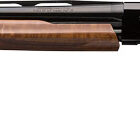 Winchester SXP High Grade Field 20ga 26in pump shotgun with walnut stock and TruGlo sight