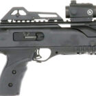 Hi-Point 995TS 9mm carbine with Crimson Trace red dot sight in black