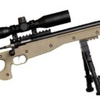 Crickett Precision .22 LR rifle, blued metal with Flat Dark Earth synthetic stock and scope