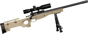 Crickett Precision .22 LR rifle, blued metal with Flat Dark Earth synthetic stock and scope