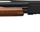 Winchester SXP Field Youth 12ga 24in pump shotgun matte black receiver satin walnut stock