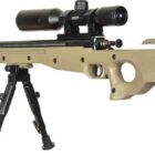 Crickett Precision .22 LR rifle, blued metal with Flat Dark Earth synthetic stock and scope