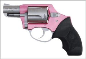Charter Arms The Pink Lady .38 Special 2in 5rd revolver pink frame stainless barrel
