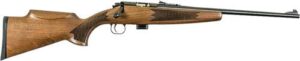 Keystone Crickett Model 722 Compact .22 LR rifle with walnut stock and blued finish
