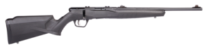 Savage B22 F Compact bolt-action .22 LR rifle 18-inch matte black synthetic stock