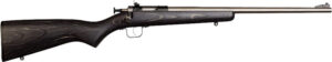 Davey Crickett Crickett G2 .22 LR stainless, black laminate, 16.12 in barrel