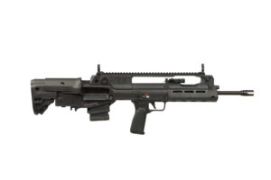 Springfield Armory Hellion rifle, 5.56 NATO, 16-inch, black