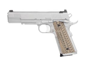 Dan Wesson Specialist 1911 .45 ACP 5 inch stainless pistol with G10 grips