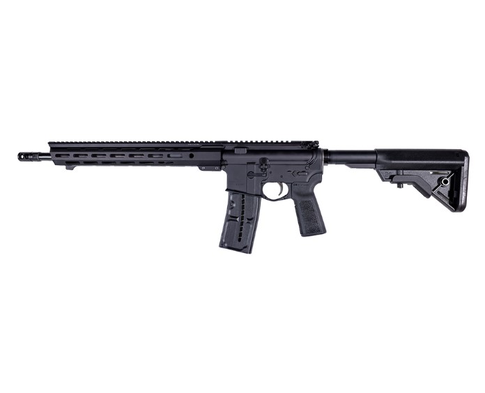 Franklin Armory F17-X | .17 WSM | 16in | 10rd