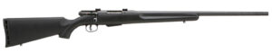 Savage 25 Walking Varminter .17 Hornet 22-inch black synthetic bolt-action rifle