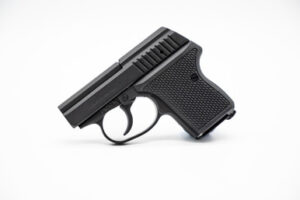 L.W. Seecamp LWS-380 .380 ACP 2-inch black pocket pistol