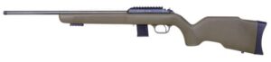 BLG Diana R-22 Classic bolt-action rifle in olive drab green