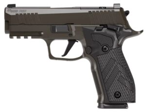 Sig Sauer P226 XCarry Legion 9mm 3.8in bull barrel Legion Gray Cerakote