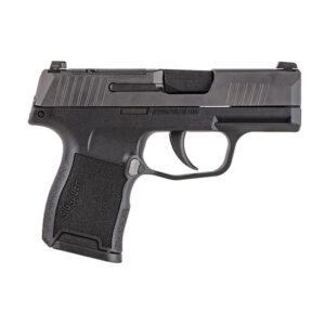 SIG Sauer P365-380 MS HGA .380 ACP 3.1in Nitron Black XR3