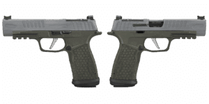 SIG SAUER P365 FUSE 9mm 4.3in Crushed Silver Battleworn pistol