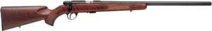Anschutz 1710D HB .22 LR 23-inch heavy barrel blued rifle with walnut stock