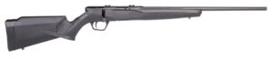 Savage B21 F bolt-action rimfire rifle with 21-inch barrel and black synthetic stock, 10-round rotary magazine