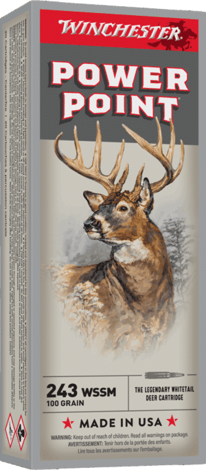 WINCHESTER SPR-X 243WSSM 100GR PP