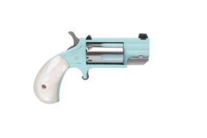 North American Arms NAM PUG 22M SS 1IN HB FS TQ DE product image
