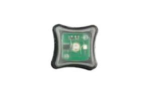 UNITY SPARK LIGHT GREEN