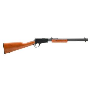 Rossi Gallery .22 WMR pump-action rifle hardwood stock black finish RP22W201WD