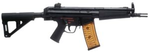 Century Arms AP53 5.56 pistol in black with Magpul BSL brace and two 30-round magazines