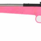 Davey Crickett Crickett 22LR pink synthetic stock stainless 16.12 inch barrel