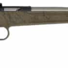 Davey Crickett Crickett .22 LR rifle stainless finish tan synthetic stock 16.12 in barrel
