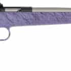 Davey Crickett Crickett .22 LR bolt-action rifle with purple synthetic stock and stainless barrel