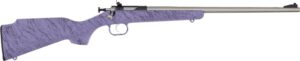 Davey Crickett Crickett .22 LR bolt-action rifle with purple synthetic stock and stainless barrel
