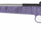 Davey Crickett Crickett .22 LR bolt-action rifle with purple synthetic stock and stainless barrel