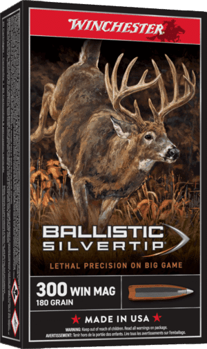 300 WIN MAG 180GR SLVRTP 20RD BOX
