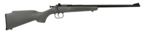 Keystone Crickett .22 LR single-shot rifle blued finish gray synthetic stock