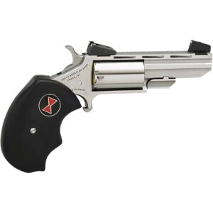 North American Arms Black Widow .22 LR 2 inch revolver stainless black 5-round