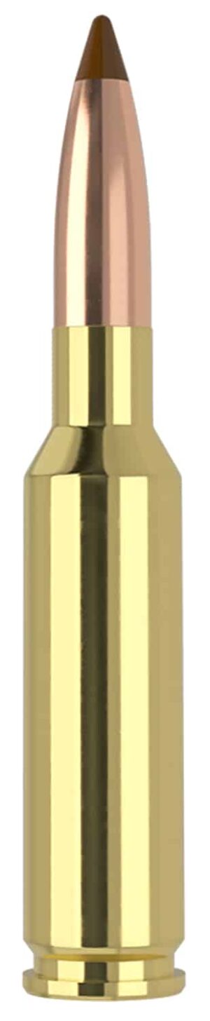 Nosler 61053   6.5x55Swedish 140gr Ballistic Tip 20 Per Box/10 Case