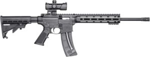 Smith & Wesson M&P15-22 Sport OR .22 LR 16.5in with MP-100 red green dot