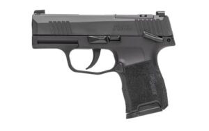 Sig Sauer P365 9mm 3.1in XRAY3 sights black polymer grip two 10-round mags