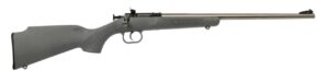 Davey Crickett Keystone Sporting Arms Crickett .22 LR stainless with gray synthetic stock