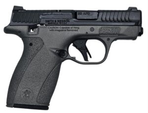 Smith & Wesson M&P Bodyguard 2.0 .380 Auto grey/black 2.75in pistol