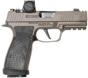 Sig Sauer P365 AXG Legion Romeo‑X 9mm 3.1" Legion Gray Cerakote