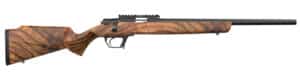 Retay USA Asend .22 LR bolt-action rifle with walnut stock and black chrome barrel