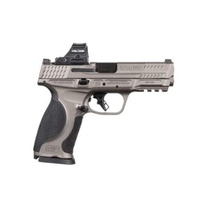 Smith & Wesson M&P9 M2.0 Metal 9mm 4.25in Tungsten Gray with Holosun HS407C X2